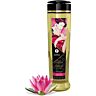 Huile de massage érotique Shunga Love