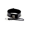Collier Furry avec Laisse Bound to Please