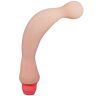Vibrateur BAILE FLEXI VIBE SENSUAL SPINE 22 cm flexible