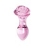 Plug anal S Pleasures Crystal Aurora en verre