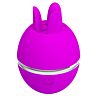 Vibromasseur Rond Violet Gemini Ball