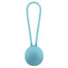 Masseur Turquoise Premium Seductouch