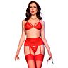 Ensemble de lingerie CHILIROSE CR 4895 5 pièces