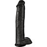 Dildo King Cock 38 CM avec testicules