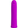Mini Vibromasseur Violet Pretty Love