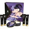 Shunga - Geisha Secrète Fruits Exotiques - Ensemble de Massage Érotique