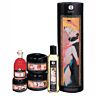 collection Shunga des plaisirs charnels