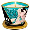 Bougie de massage SHUNGA Fleurs des Îles 170 ml