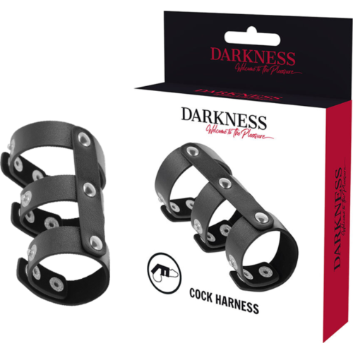 Anneau de pénis DARKNESS en cuir réglable avec testicules