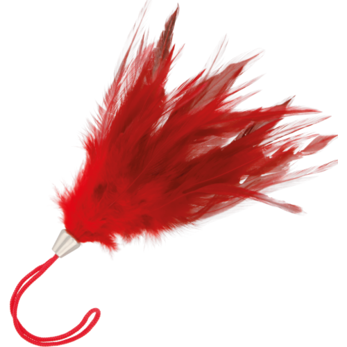 Plume Stimulateur Darkness 17cm pour des sensations érotiques