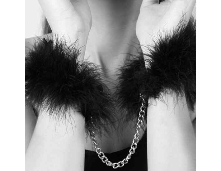 Plumes de Séduction