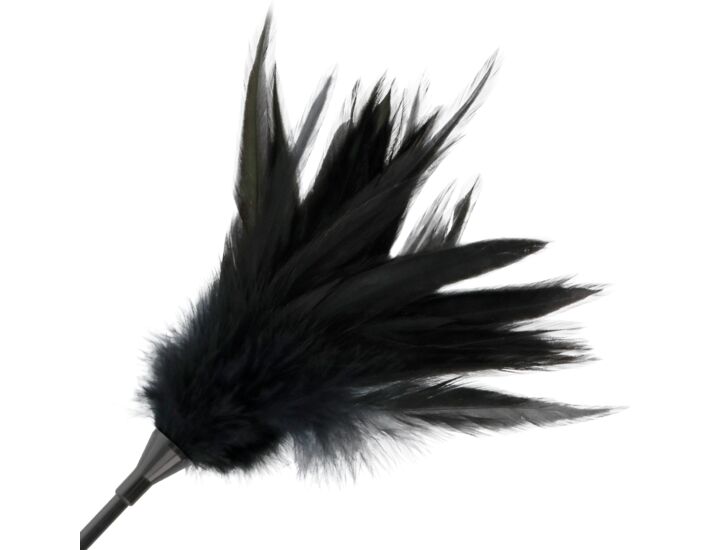 Plume de fessier sombre