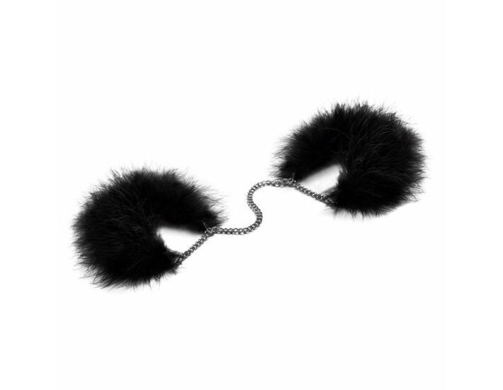 Plumes de Séduction