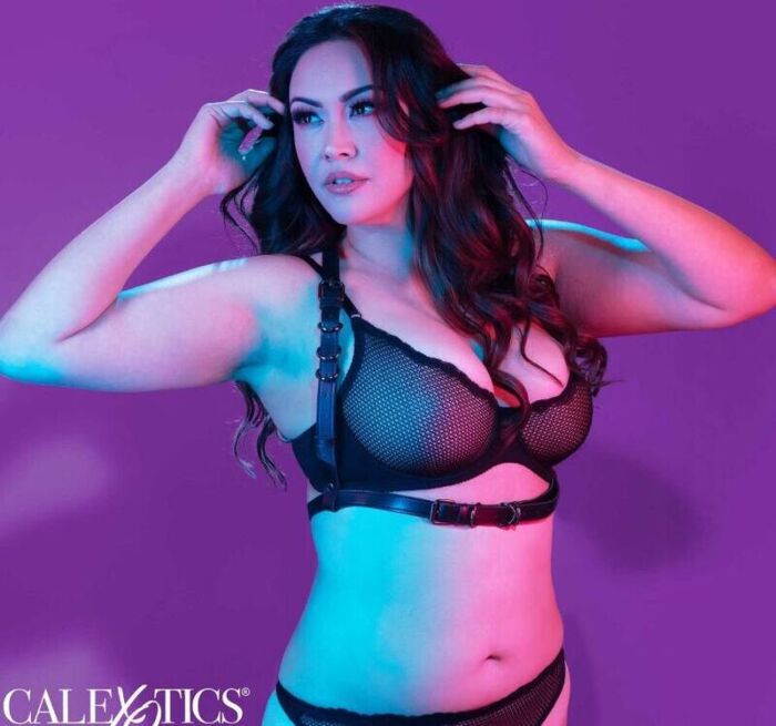 Arnés Halter CalExotics Euphoria Talla Plus Noir Arnés Halter CalExotics Euphoria Talla Plus Noir