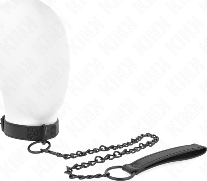 Collier avec Laisse KINK 65cm Ajustable Élégant Collier avec Laisse KINK 65cm Ajustable Élégant