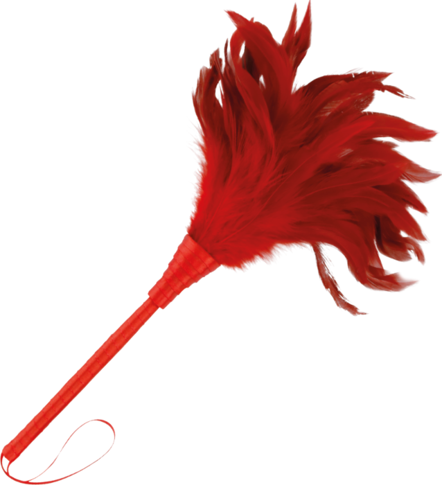 Plume stimulateur Darkness 24cm pour des sensations érotiques Plume stimulateur Darkness 24cm pour des sensations érotiques