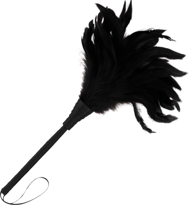 Accessoire DARKNESS - Plume Stimulante Lux