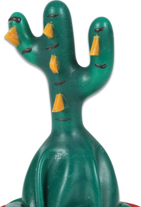 Préservatif CONDOMERIE Cactus Artisanal Unique Préservatif CONDOMERIE Cactus Artisanal Unique