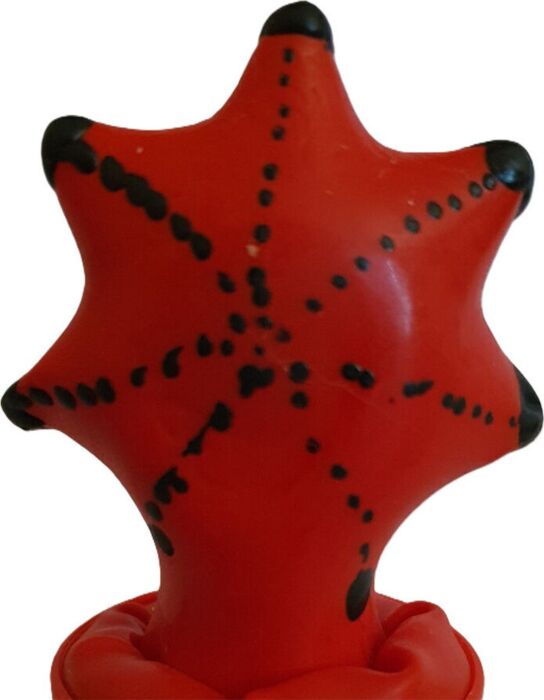 Préservatif Condomerie Étoile de Mer | Unique Art