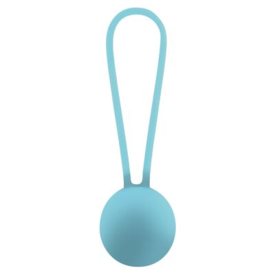 Masseur Turquoise Premium Seductouch