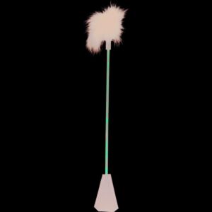 fouet en cuir avec des plumes