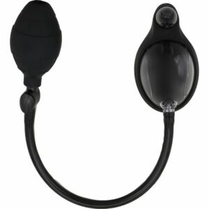 Sniffer avec vibration pour la chatte noire