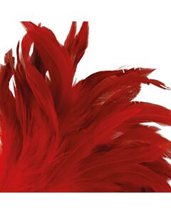 Plume Rouge Vibrante