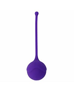 Entraîneur Kegel Violet