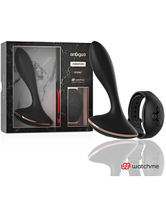 VibraPlug Télécommande