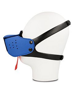 Muselière Bleue Contrôle Canin