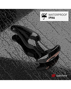 Contrôle Plug Anal Watchme