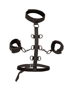 Harnais de retenue sans limite