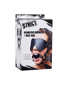 Arnés con máscara y mordaza