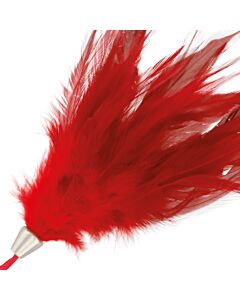 Plume Rouge Sensuelle 17cm
