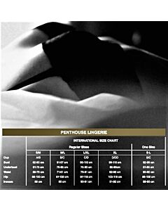 Penthouse Floral Elegance Teddy XL
Penthouse Teddy XL Élégance Florale