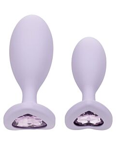Duo Anal Cristal Violeta