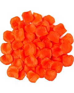 Pétales Orange Brillant