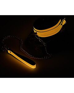 Collier et Laisse Glow Orange Dream Toys