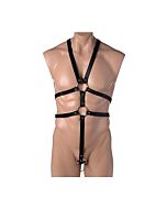 Strict male body con arnés