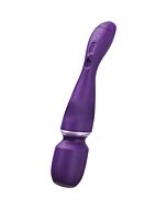 We-vibe wand