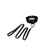 laisse en cuir et col