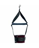 Sex & mischief esposas enchanted