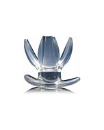 Clawed expanding dilatador anal