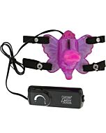 Venus stimulateur avec le pénis