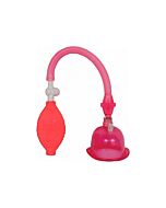 pompe chatte rose succin