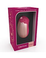 Orchidée Clitoridienne Shushu