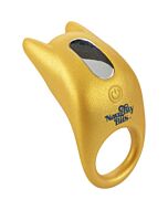 Anneau vibrant en chaleur