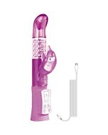 Vibromasseur rechargeable delfn violet