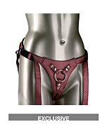 La reine royale - harnais basique en argent