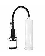 Érection Totale Alexander